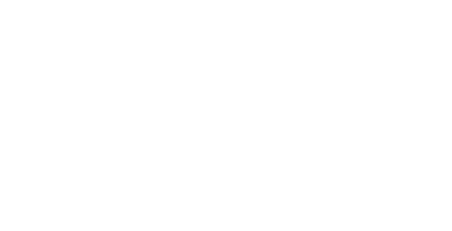 VTEX Partner